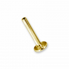 PVD Gold Steel Int. Thr. Labret Stem