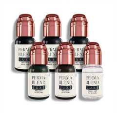 Perma Blend Luxe PMU Pigment - Stevey G. Reclaim Set