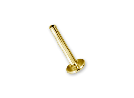 PVD Gold Steel Int. Thr. Labret Stem