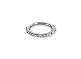 Steel Hinged Jewelled Ring