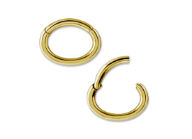 PVD Gold Steel Rook Oval Hinged Segment Ring